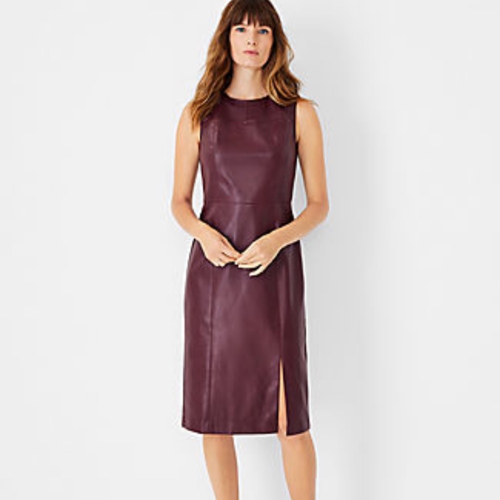 ANN TAYLOR NWT Seamed Faux Leather Sheath Dress